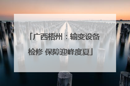 广西梧州：输变设备检修 保障迎峰度夏