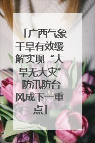 广西气象干旱有效缓解实现“大旱无大灾” 防汛防台风成下一重点