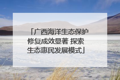 广西海洋生态保护修复成效显著 探索生态惠民发展模式