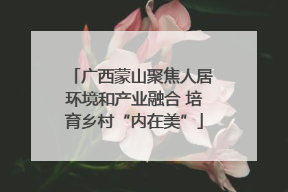 广西蒙山聚焦人居环境和产业融合 培育乡村“内在美”