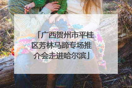广西贺州市平桂区芳林马蹄专场推介会走进哈尔滨