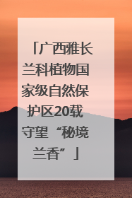 广西雅长兰科植物国家级自然保护区20载守望“秘境兰香”