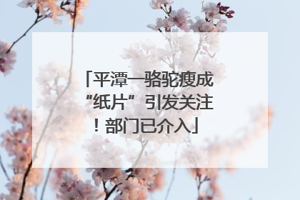 平潭一骆驼瘦成“纸片”引发关注！部门已介入