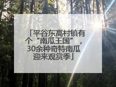 平谷东高村镇有个“南瓜王国”，30余种奇特南瓜迎来观赏季