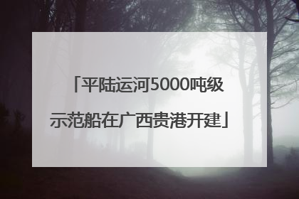 平陆运河5000吨级示范船在广西贵港开建