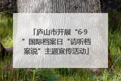 庐山市开展“6·9”国际档案日“请听档案说”主题宣传活动