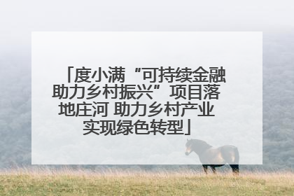 度小满“可持续金融助力乡村振兴”项目落地庄河 助力乡村产业实现绿色转型