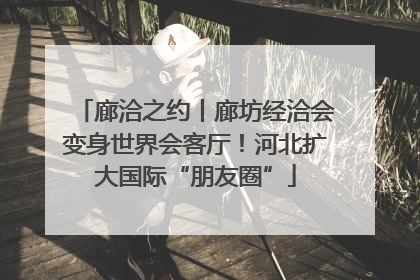 廊洽之约丨廊坊经洽会变身世界会客厅！河北扩大国际“朋友圈”