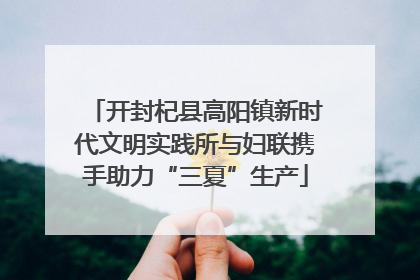 开封杞县高阳镇新时代文明实践所与妇联携手助力“三夏”生产