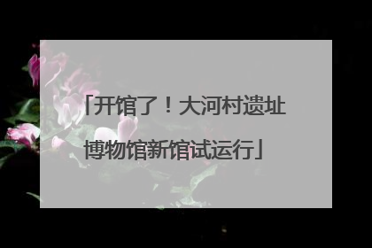 开馆了！大河村遗址博物馆新馆试运行