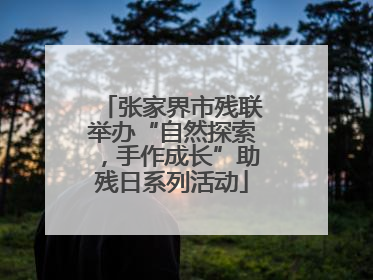 张家界市残联举办“自然探索，手作成长”助残日系列活动