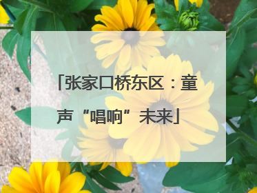 张家口桥东区：童声“唱响”未来