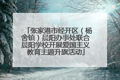 张家港市经开区（杨舍镇）晨阳办事处联合晨阳学校开展爱国主义教育主题升旗活动