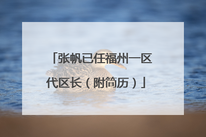 张帆已任福州一区代区长（附简历）
