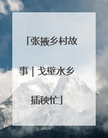 张掖乡村故事｜戈壁水乡插秧忙