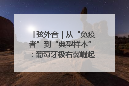 弦外音｜从“免疫者”到“典型样本”：葡萄牙极右翼崛起背后的欧洲困局