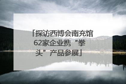 探访西博会南充馆 62家企业携“拳头”产品参展