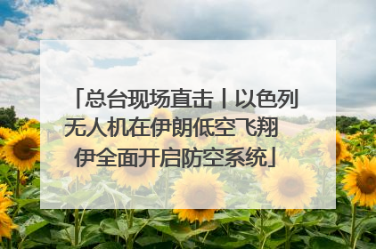 总台现场直击丨以色列无人机在伊朗低空飞翔 伊全面开启防空系统