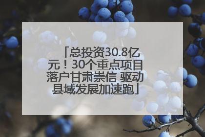 总投资30.8亿元！30个重点项目落户甘肃崇信 驱动县域发展加速跑
