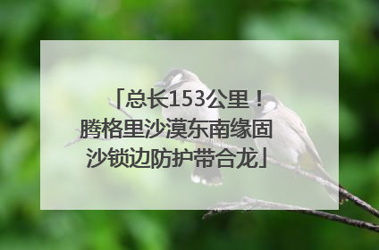 总长153公里！腾格里沙漠东南缘固沙锁边防护带合龙