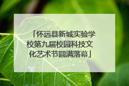 怀远县新城实验学校第九届校园科技文化艺术节圆满落幕