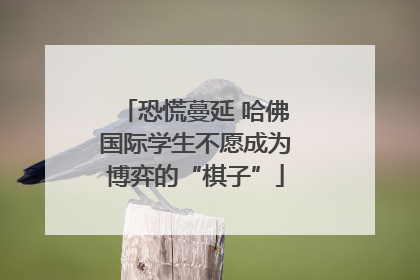 恐慌蔓延 哈佛国际学生不愿成为博弈的“棋子”