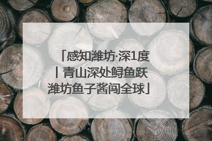 感知潍坊·深1度丨青山深处鲟鱼跃 潍坊鱼子酱闯全球