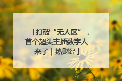 打破“无人区”，首个超头主播数字人来了｜热财经