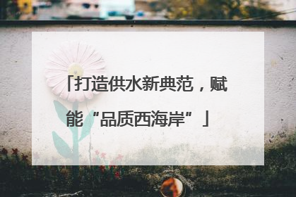 打造供水新典范，赋能“品质西海岸”