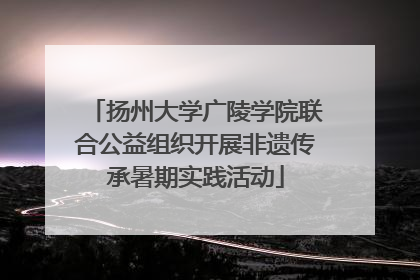 扬州大学广陵学院联合公益组织开展非遗传承暑期实践活动