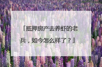 抵押房产去养虾的老兵，如今怎么样了？