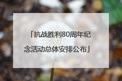 抗战胜利80周年纪念活动总体安排公布