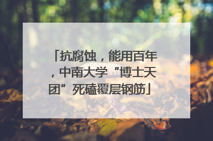 抗腐蚀，能用百年，中南大学“博士天团”死磕覆层钢筋