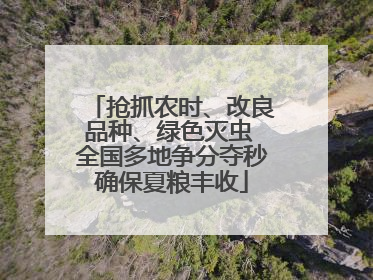 抢抓农时、改良品种、绿色灭虫 全国多地争分夺秒确保夏粮丰收
