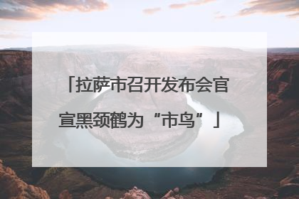 拉萨市召开发布会官宣黑颈鹤为“市鸟”