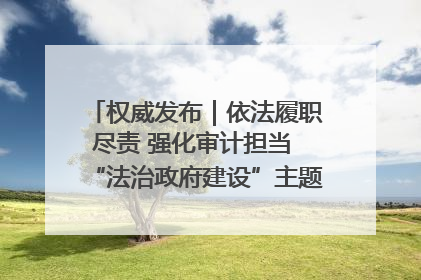 权威发布｜依法履职尽责 强化审计担当 “法治政府建设”主题系列新闻发布会市审计局专场召开