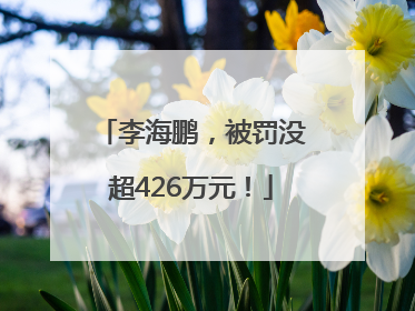 李海鹏，被罚没超426万元！