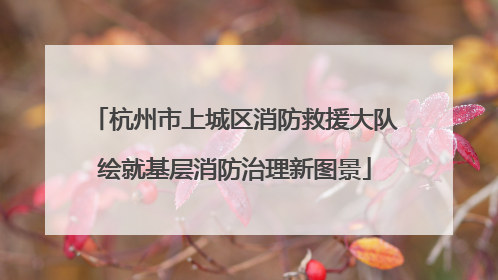 杭州市上城区消防救援大队绘就基层消防治理新图景
