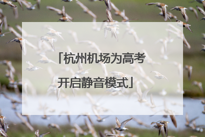 杭州机场为高考开启静音模式
