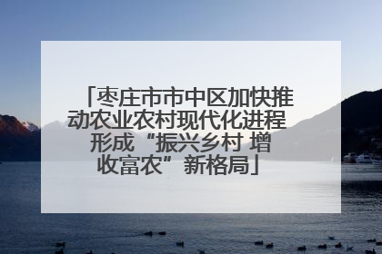 枣庄市市中区加快推动农业农村现代化进程 形成“振兴乡村 增收富农”新格局
