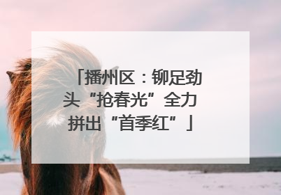 播州区：铆足劲头“抢春光”全力拼出“首季红”