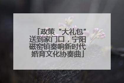 政策“大礼包”送到家门口，宁阳磁窑镇奏响新时代婚育文化协奏曲