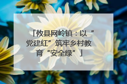 攸县网岭镇:以“党建红”筑牢乡村教育“安全绿”
