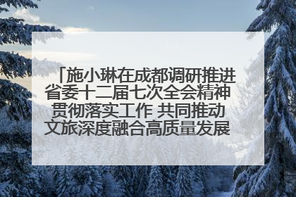施小琳在成都调研推进省委十二届七次全会精神贯彻落实工作 共同推动文旅深度融合高质量发展 加快打造支柱产业民生产业幸福产业