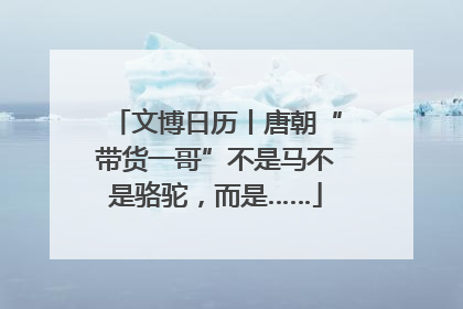 文博日历丨唐朝“带货一哥”不是马不是骆驼，而是……