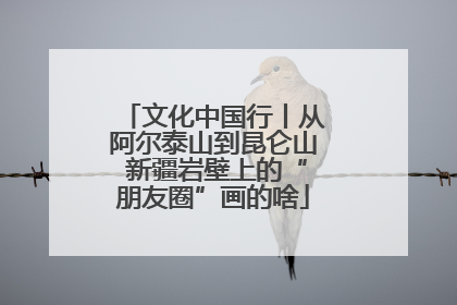 文化中国行丨从阿尔泰山到昆仑山 新疆岩壁上的“朋友圈”画的啥