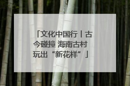 文化中国行丨古今碰撞 海南古村玩出“新花样”