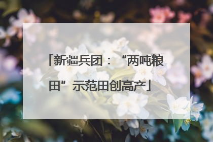 新疆兵团：“两吨粮田”示范田创高产