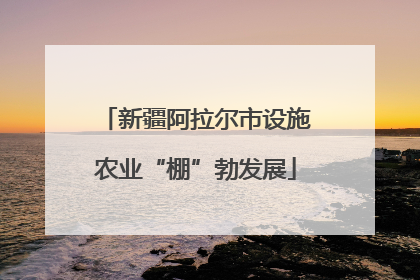 新疆阿拉尔市设施农业“棚”勃发展