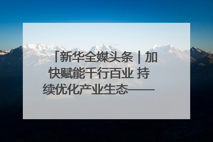 新华全媒头条｜加快赋能千行百业 持续优化产业生态——浙江推动人工智能健康有序发展观察
